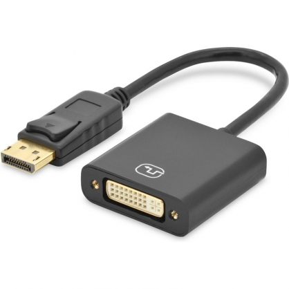 Digitus DisplayPort to DVI Cable with Lock Male / Female 15cm